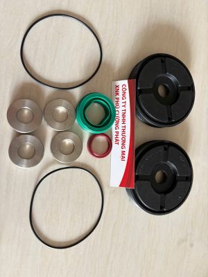 Bộ gioăng phớt SM74 M4.335.007/03