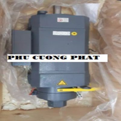 Động cơ chính C4.101.3003