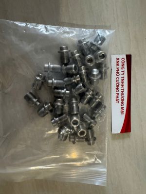 Ốc chìm giữ lô nước L2.030.421